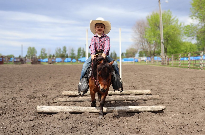 Prince, a Bay Pony gelding for sale in Texas