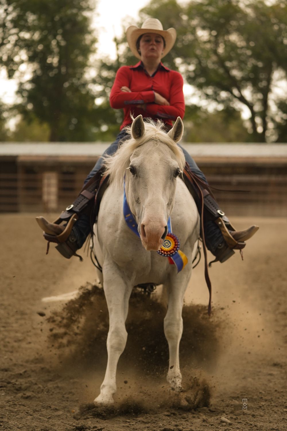 Horse and ranch photography at Equine Horses Ranch