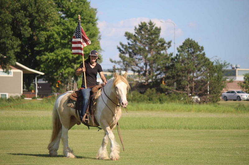 Gold, a Champagne Tobiano Gypsy Vanner gelding for sale in Texas