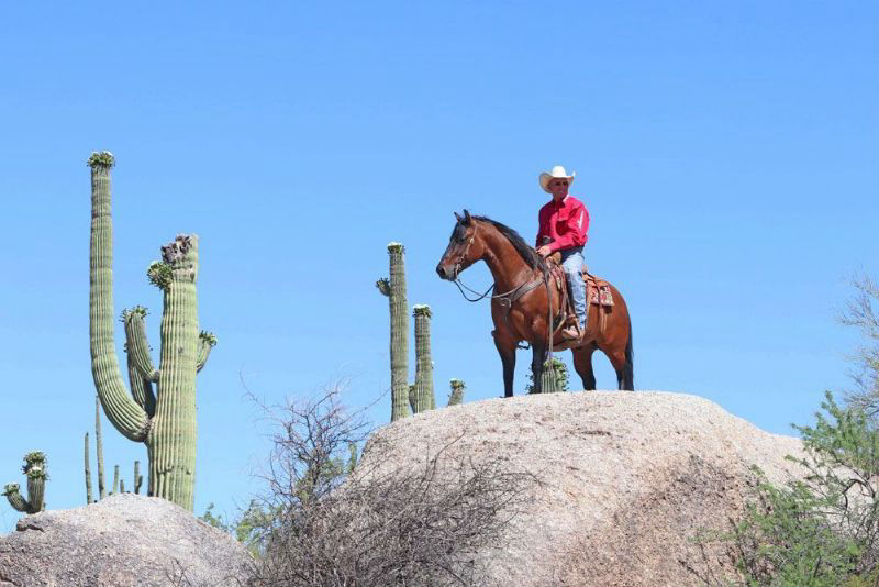 Red Bloom, a Dun American Quarter Horse mare for sale in Texas