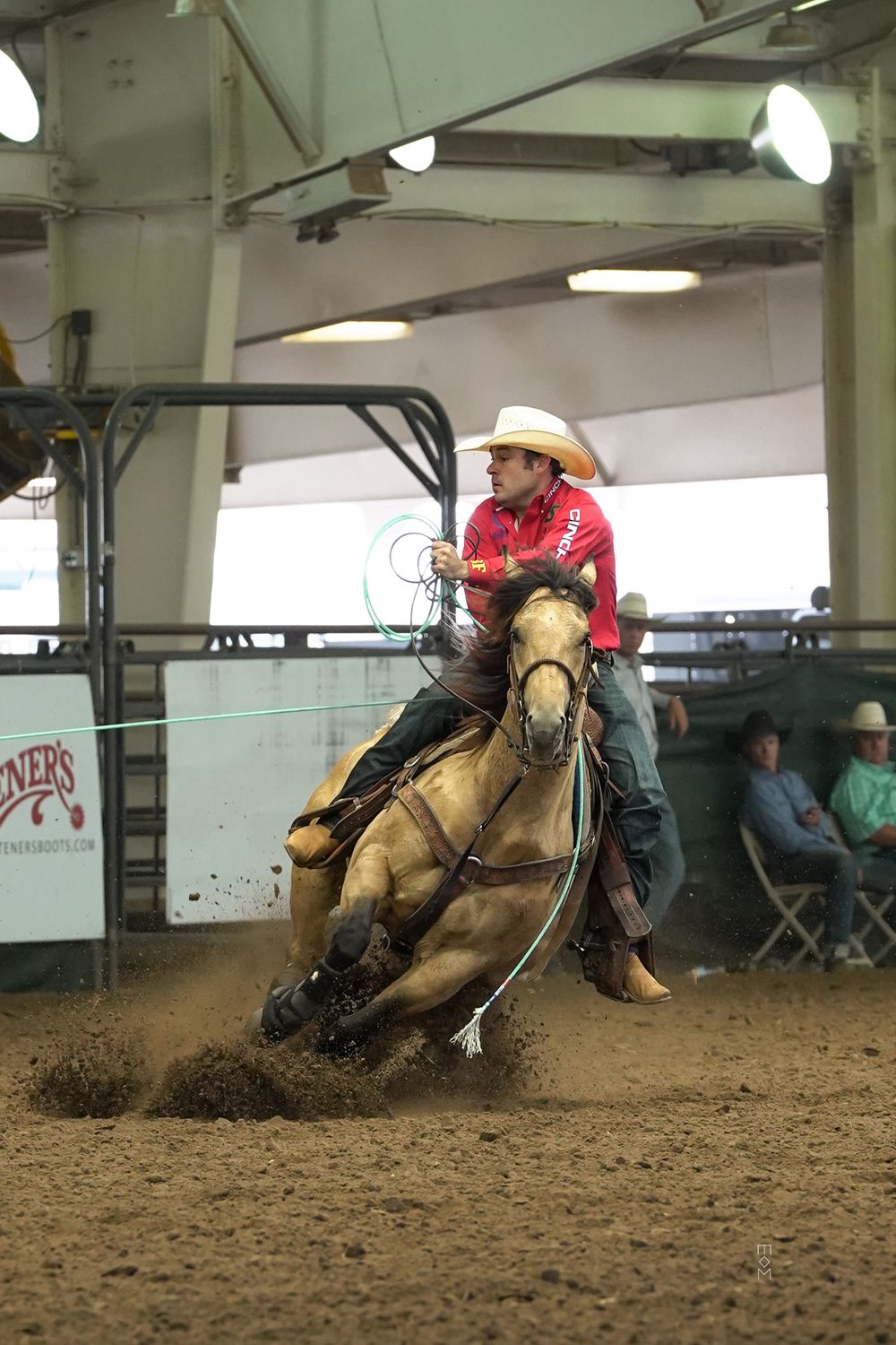 Horse and ranch photography at Equine Horses Ranch
