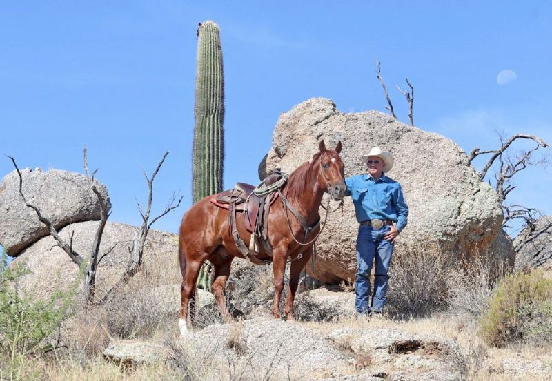 Cupid, a Sorrel American Quarter Horse gelding for sale in Texas