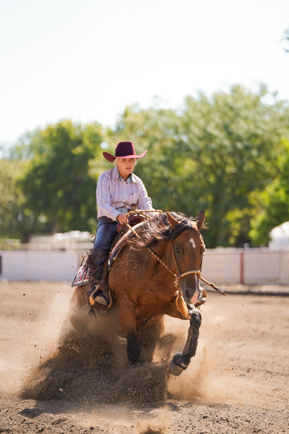 Horse and ranch photography at Equine Horses Ranch